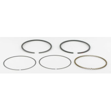 Kawasaki Piston rings  130086007