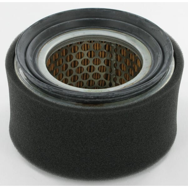 Lombardini Air filter   2175240