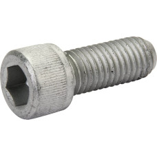 Horsch Hex socket bolt 12 x 30 12.9  00370297