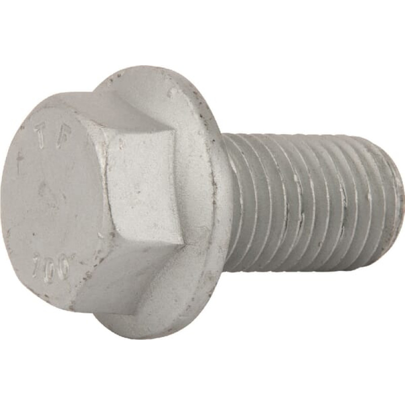 Horsch Screw 16x30  00360212