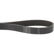 Amazone V-ribbed belt  Y01183382