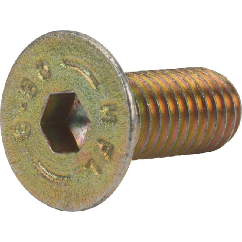 Amazone Screw 8x20  DD414