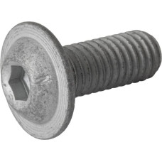 Amazone Screw 8X20  010.9  DD602