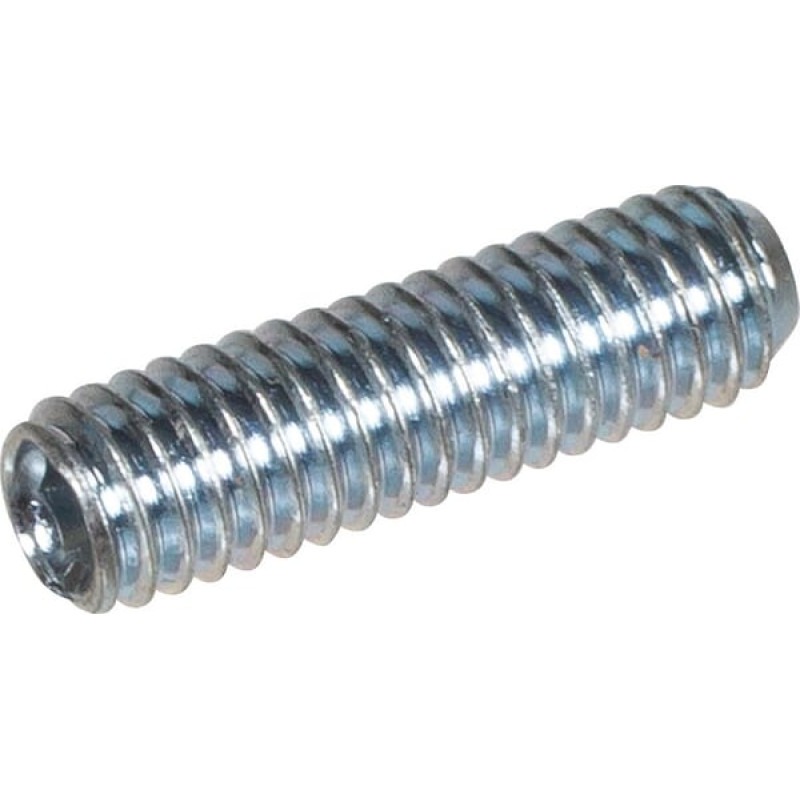 Amazone Thread Screw 4x14   DA580