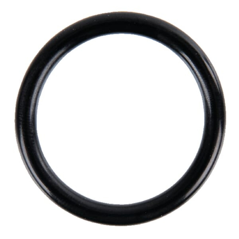 Amazone O-ring 31.50 X 4.25   FC261