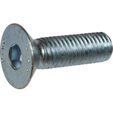 Kongskilde Screw  4725654001