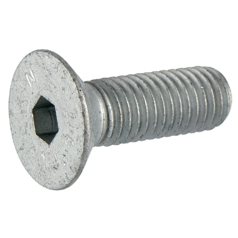 Amazone Screw 16x60 8.8 A2G  DD199