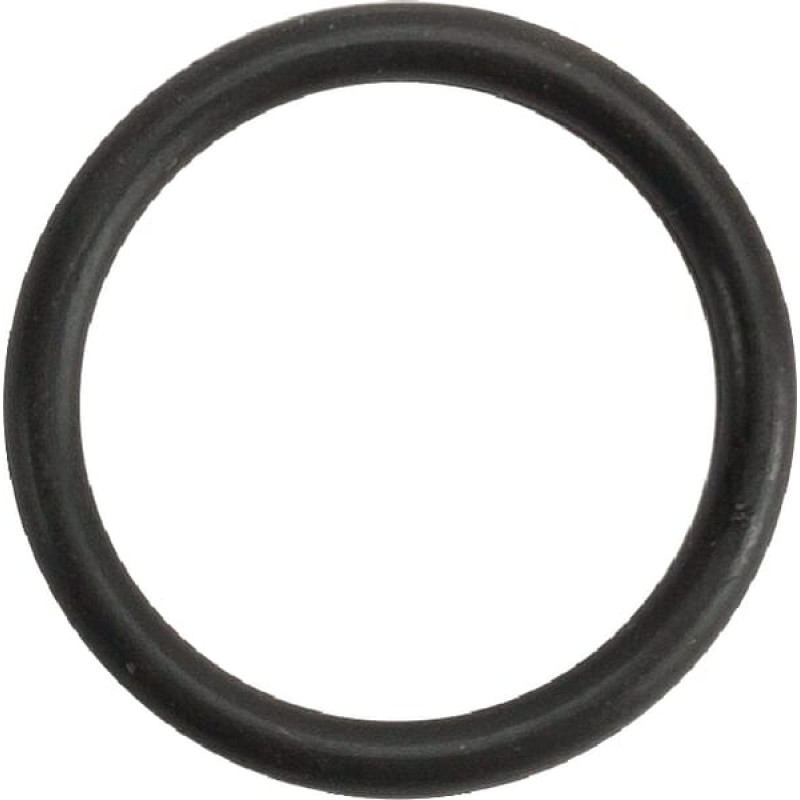 Amazone O-ring 20.29x2.62 FKM 80  FC140