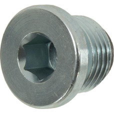 Kuhn Magnetic Plug   56207000